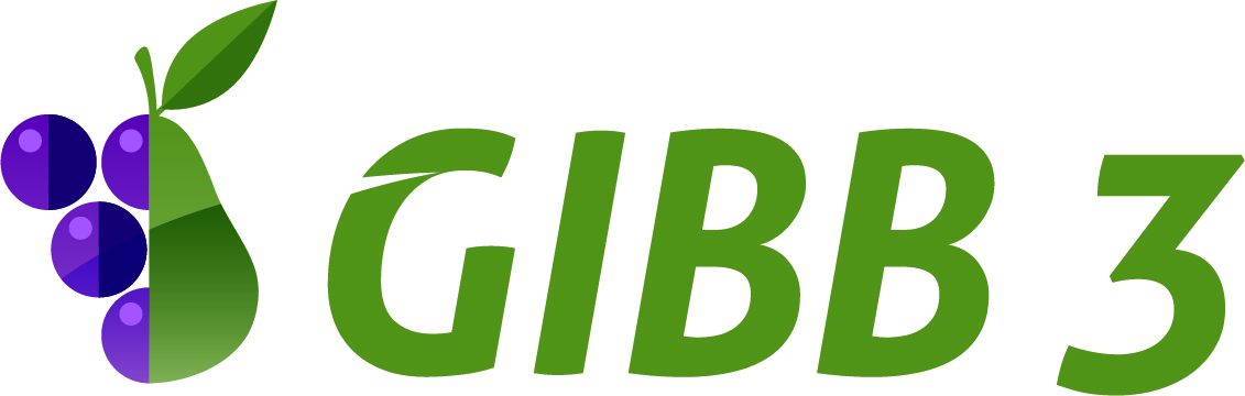 Регулятор роста GIBB 3