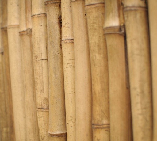 Бамбуковые колышки